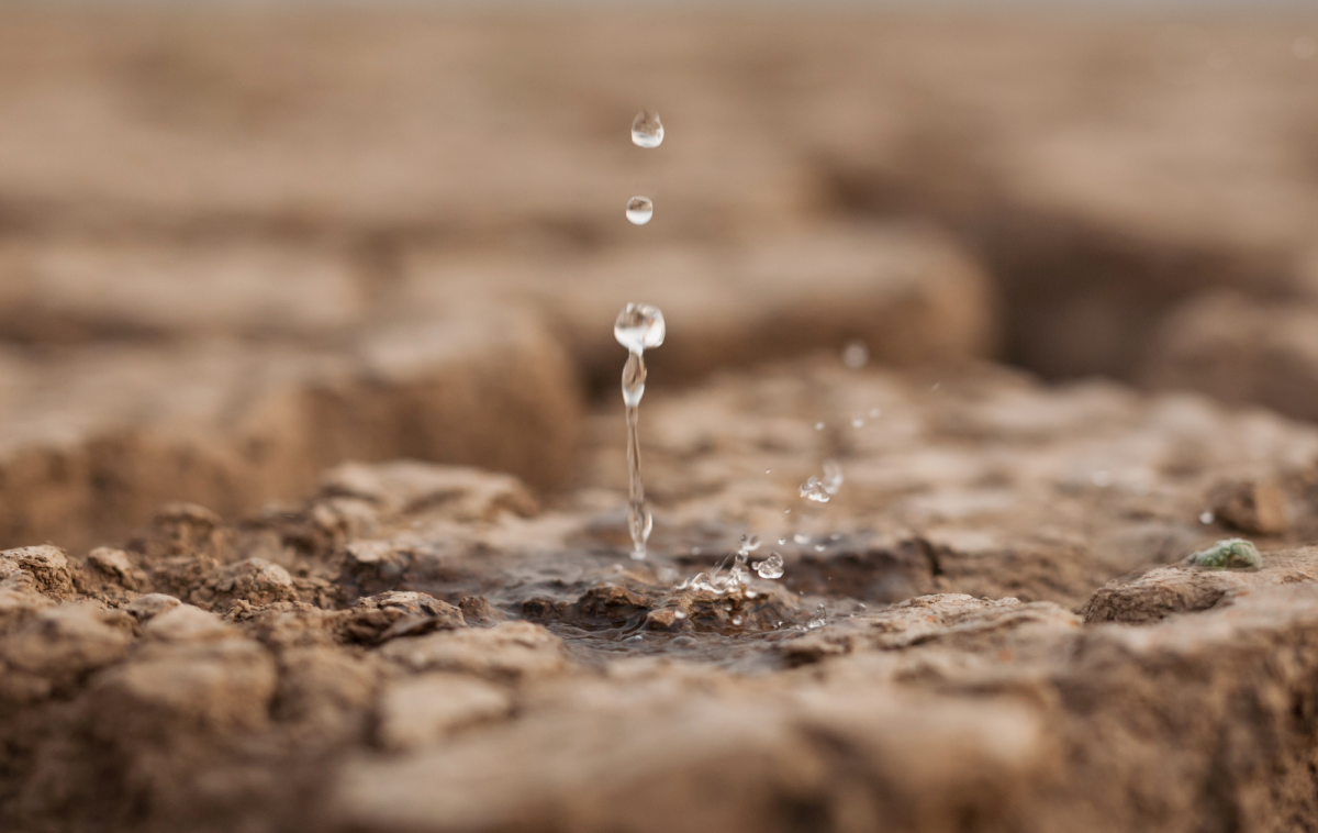 La sequía un fenómeno que no solo afecta a nuestro planeta, también a nuestra salud